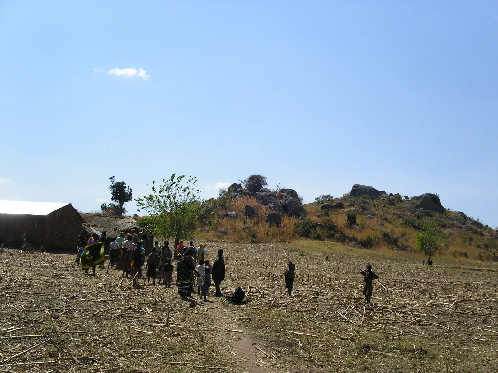 Before greening