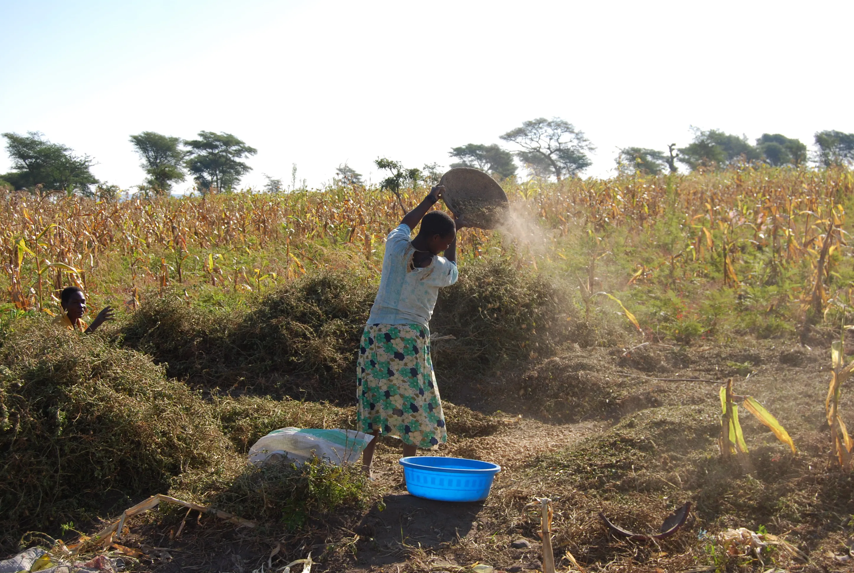 Woman in Kalalasi working in the dust